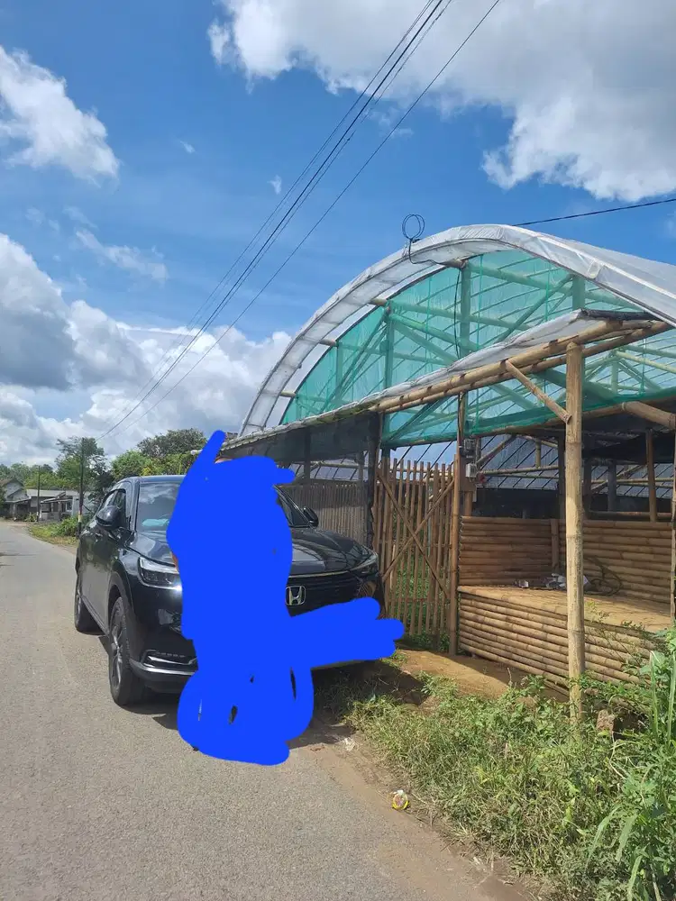Di jual Greenhouse produktif