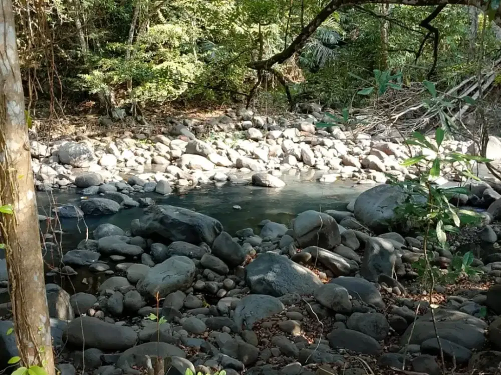 Jual Tanah Lokasi Strategis Kontur Tanah Datar Cocok untuk Villa