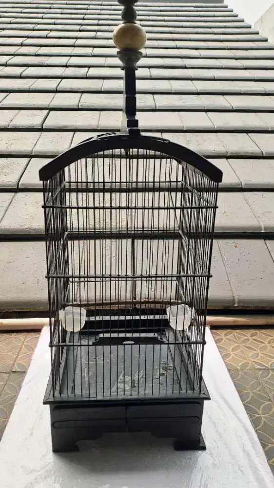 Kandang Burung kecil Pleci Kolibri Prenjak