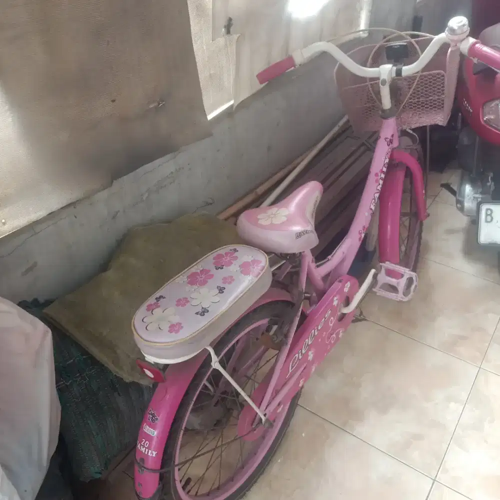 Sepeda anak perempuan cakep