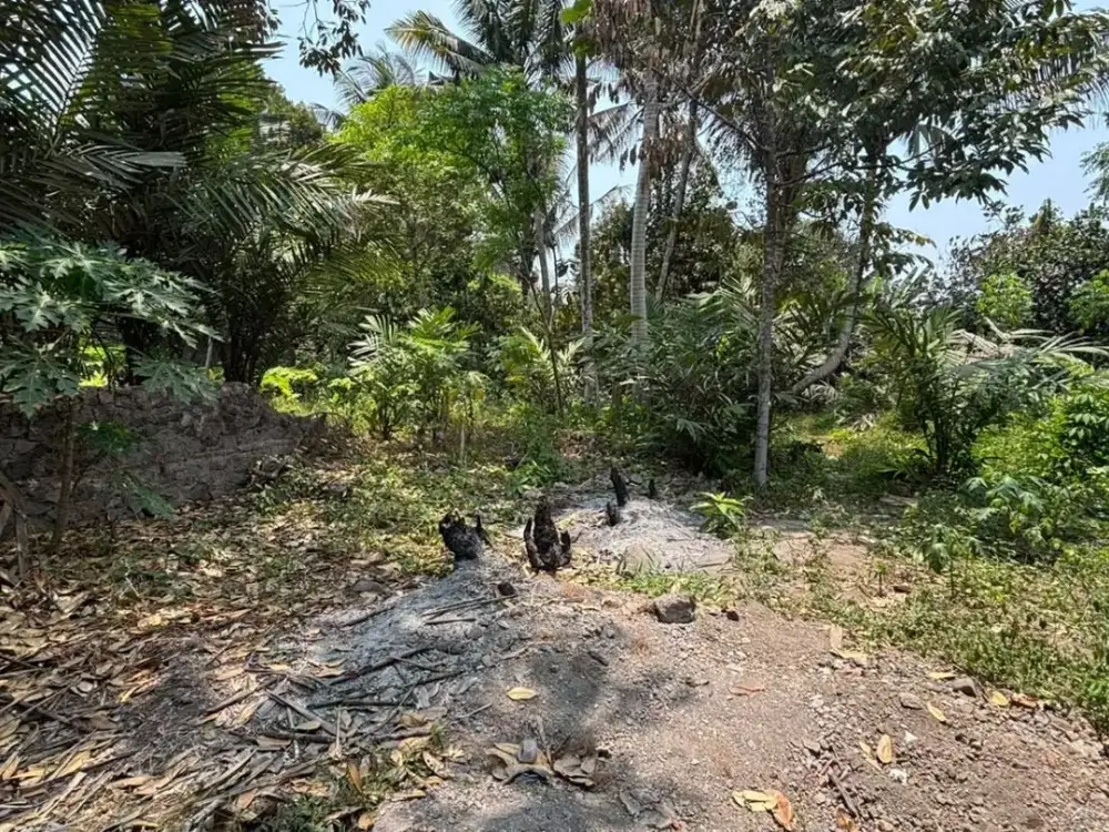 Tanah Turi Sleman, Lingkungan Nyaman Jauh dari Kebisingan Kota