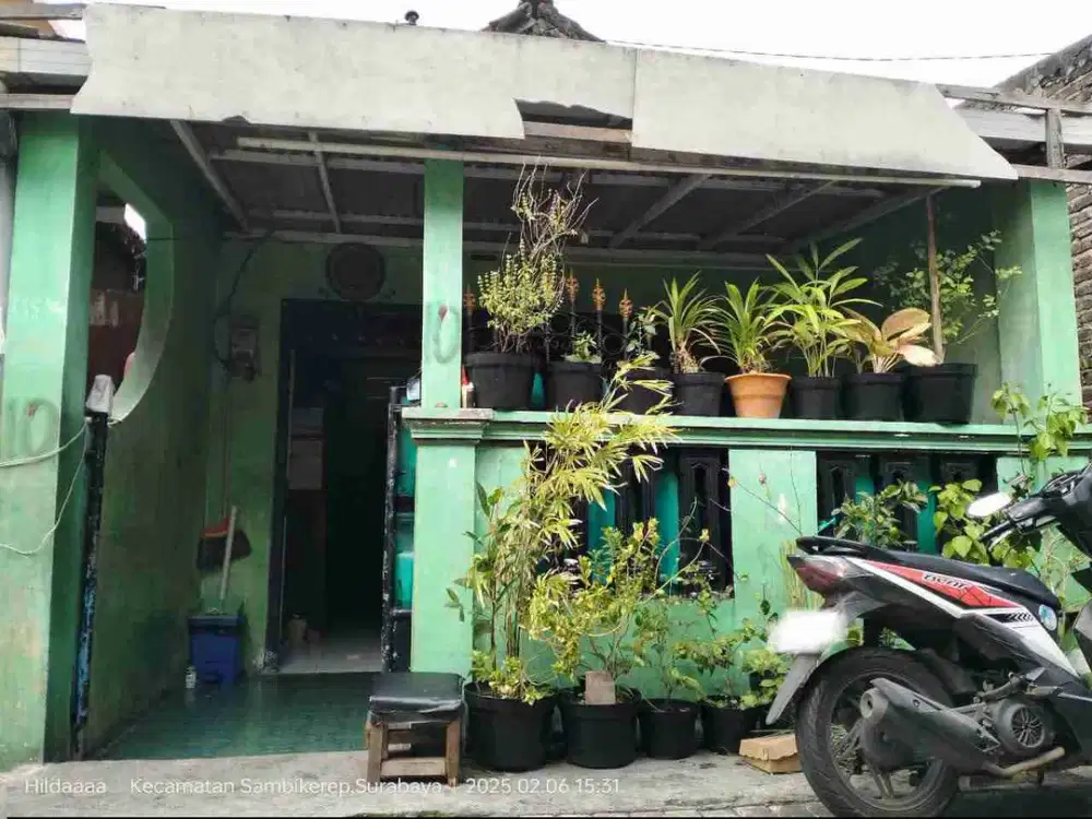 Jelidro Sambikerep Surabaya Barat dijual Rumah Apa Ada nya Butuh Renov