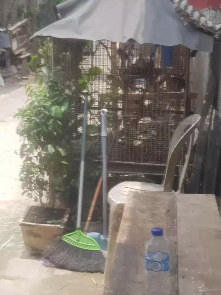 Jual kandang besi jumbo bisa buat ternak burung