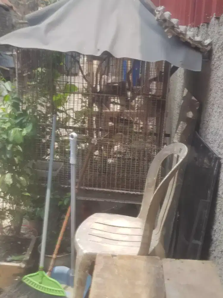 Jual kandang besi besar buat ternak  ayam burung kucing dan lain2