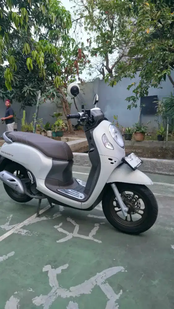Honda scoopy tahun 2024