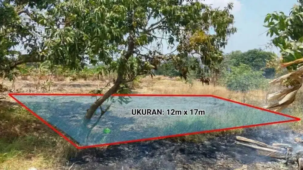 Dijual tanah luas di Menganti bisa untuk usaha kos/rumah pribadi