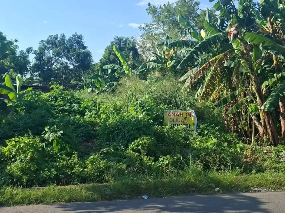 Tanah Matang Siap Bangun Area Perintis Makassar