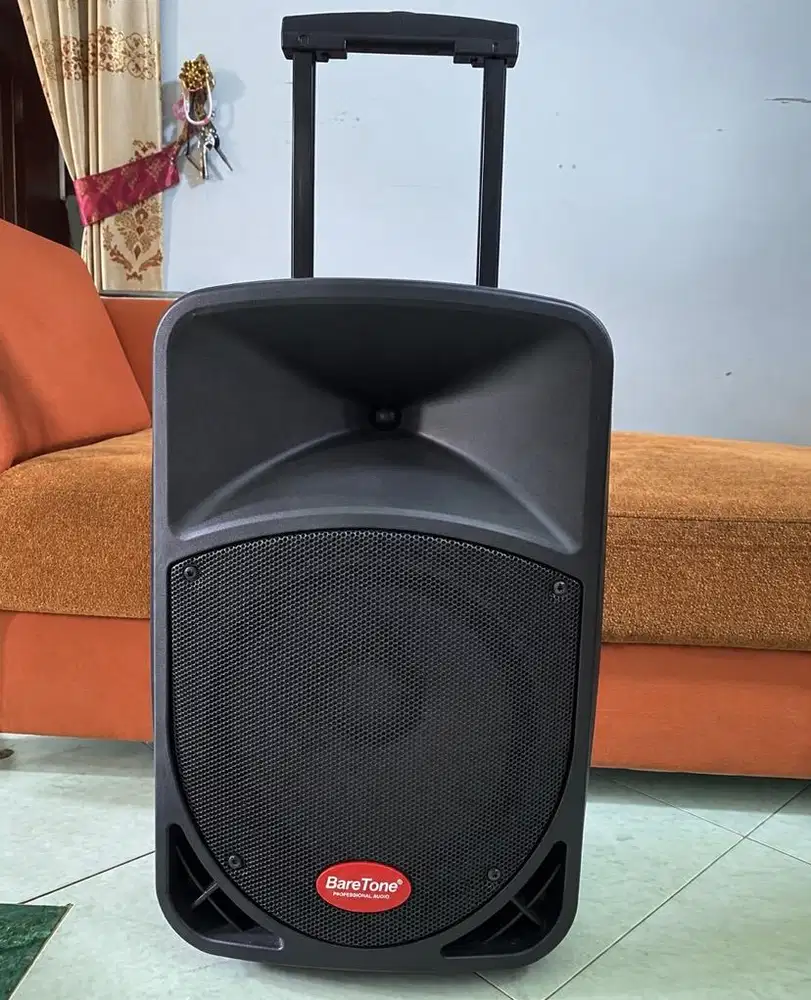 speaker salon baretone