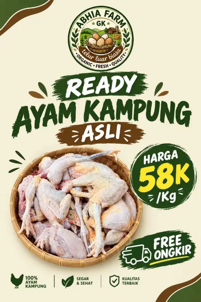 AYAM KAMPUNG DAN TELUR AYAM KAMPUNG ASLI