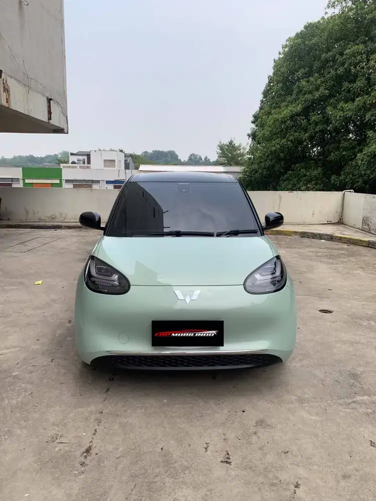 Binguo EV Premium Range 410km 2024