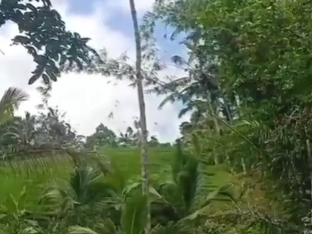 Dijual Tanah Kontur Datar Cocok untuk Bangun Resort/Private Villa