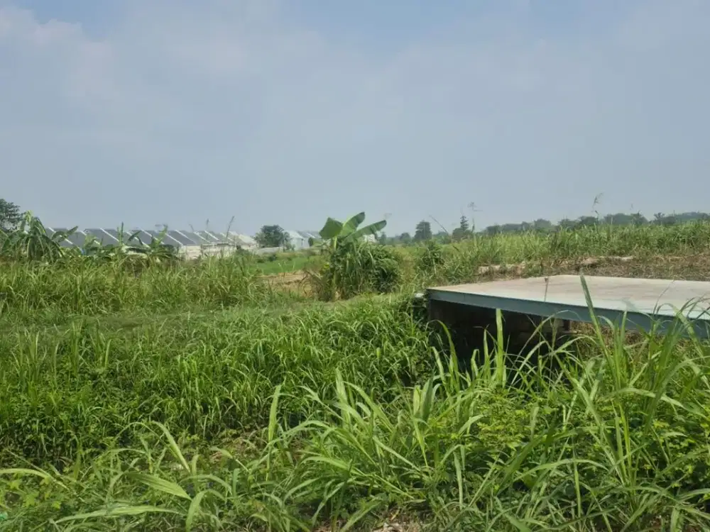 Dijual Tanah Daerah Dadap Kuning (persis Sebelahnya Perumahan Gresik Kota Mas)