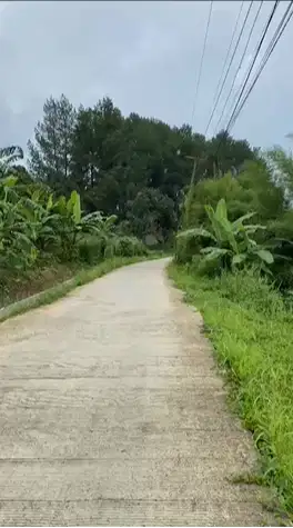 Dijual Tanah Kebun 2.000 m² – Caringin, Bogor | ±2 km ke Pintu Tol Boc