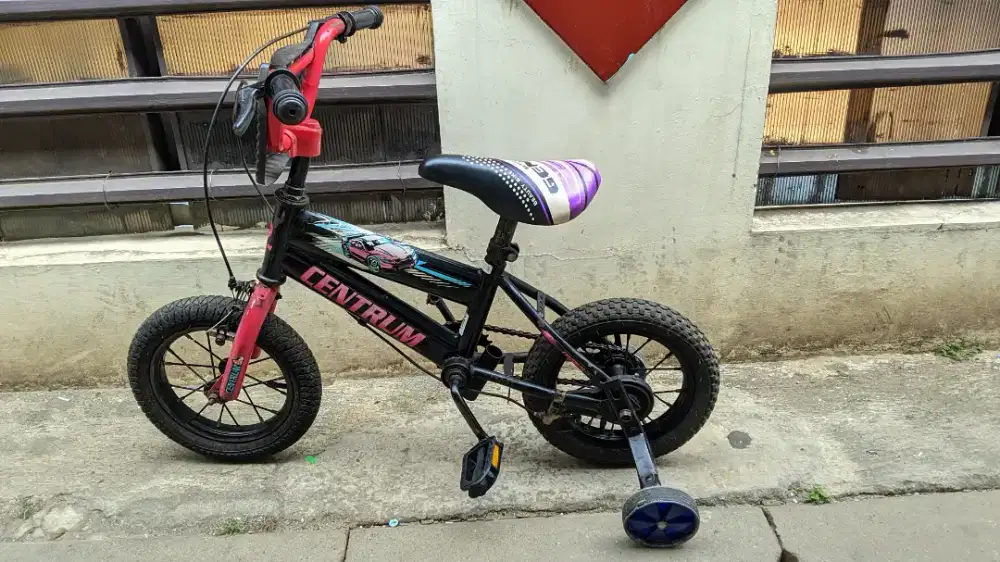 SEPEDA ANAK UNTUK 2 - 5 THN NORMAL