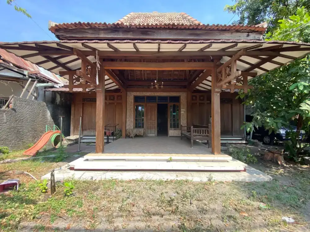 DIJUAL KAYU JATI TH 2001