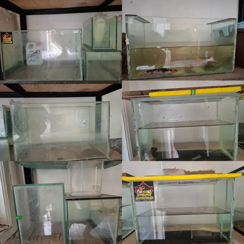 Aquarium ikan bekas