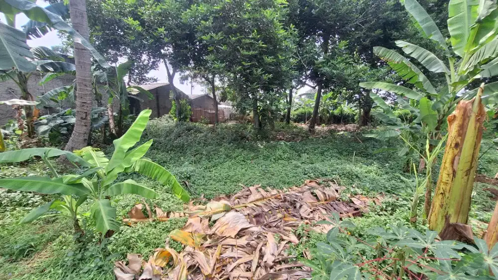 Tanah Potensial