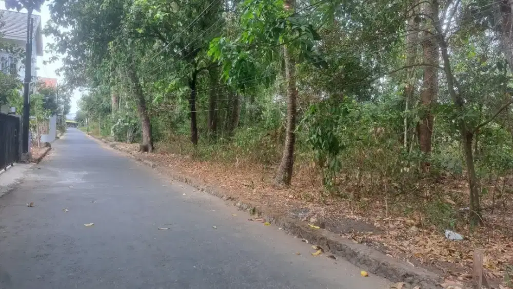 Jual Tanah Murah di Wedomartani Sleman