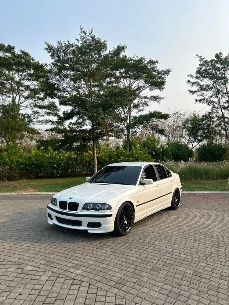 BMW E46 318i M43 2002 Last Edition