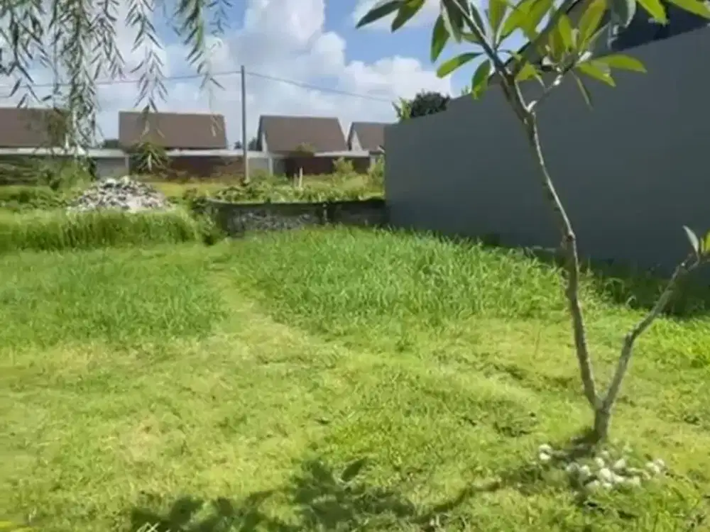JUAL TANAH BAGUS DI LODTUNDUH