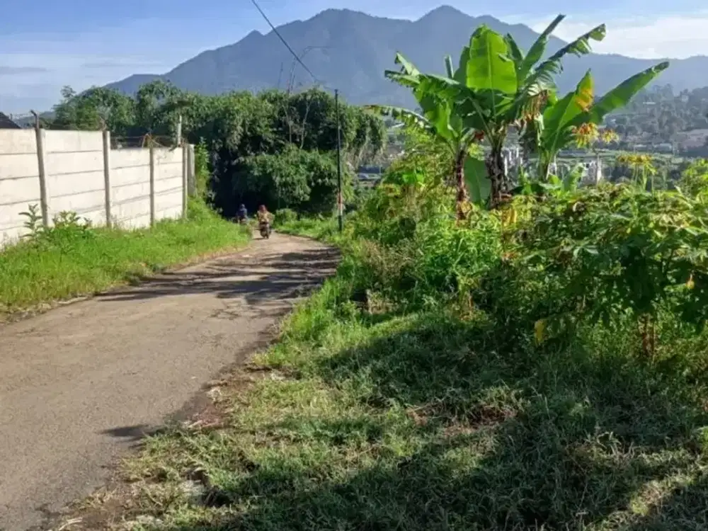 Dijual lahan kebun, bisa utk villa + kebun di cisarua lembang bandung. Pinggir jalan desa. Tdk jauh ke jalan raya lembang. Pemandangan yang sejuk dan
