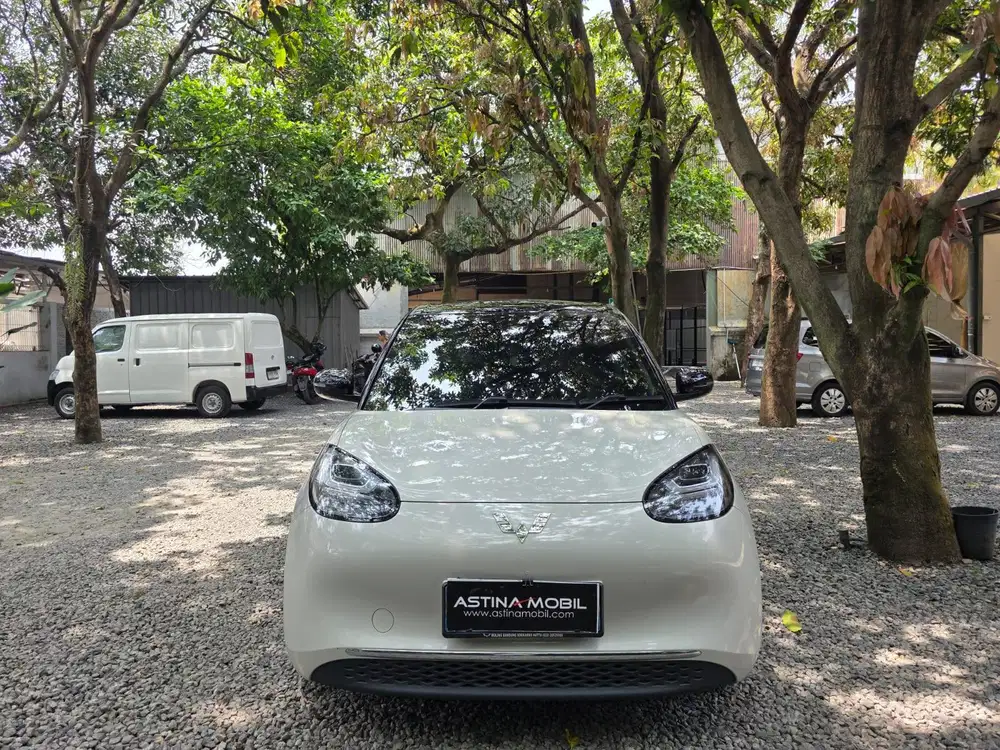 Wuling Bingou EV 333 ACDC AT Matic Electric Supir 2024 NO AIR EV ANTIK