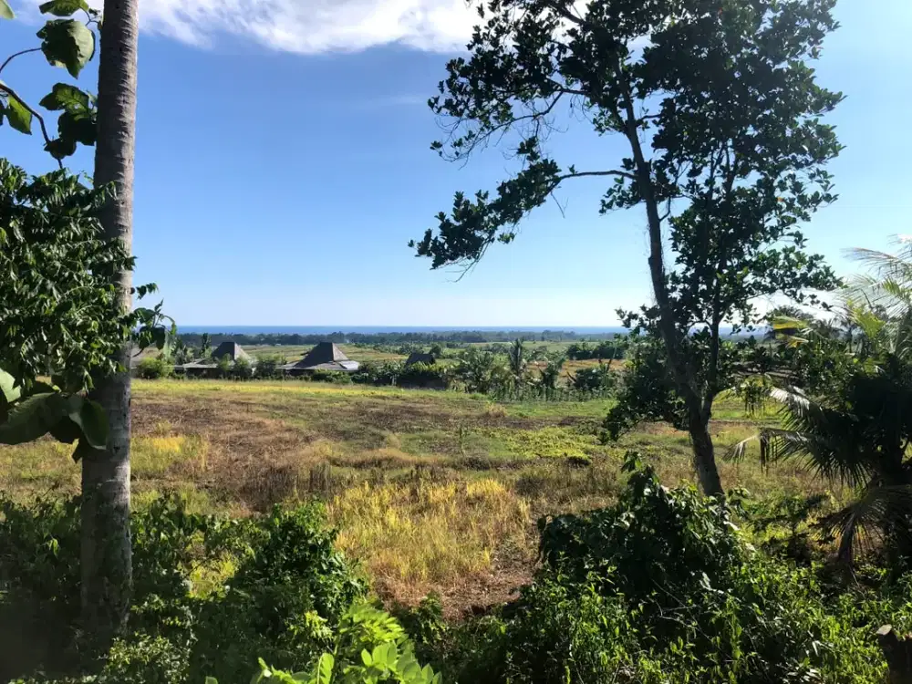 Jual Tanah di Jalur Utama Tabanan Desa Tanguntiti Bali
