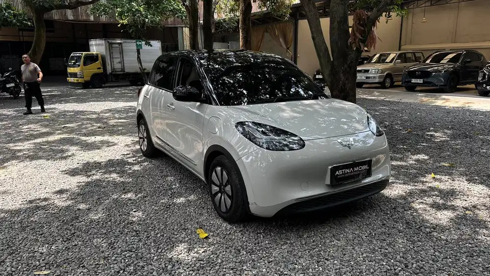 TYPE TERTINGGI RANGE 333 WYLING BINGOU EV AT 2024