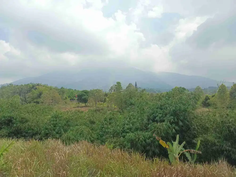 Tanah Murah View gunung indah 20.400 m2 akses mobil dekat tol Cigombong-Bogor