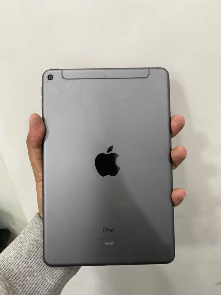 ipad mini 5 64 GB wifi cell
