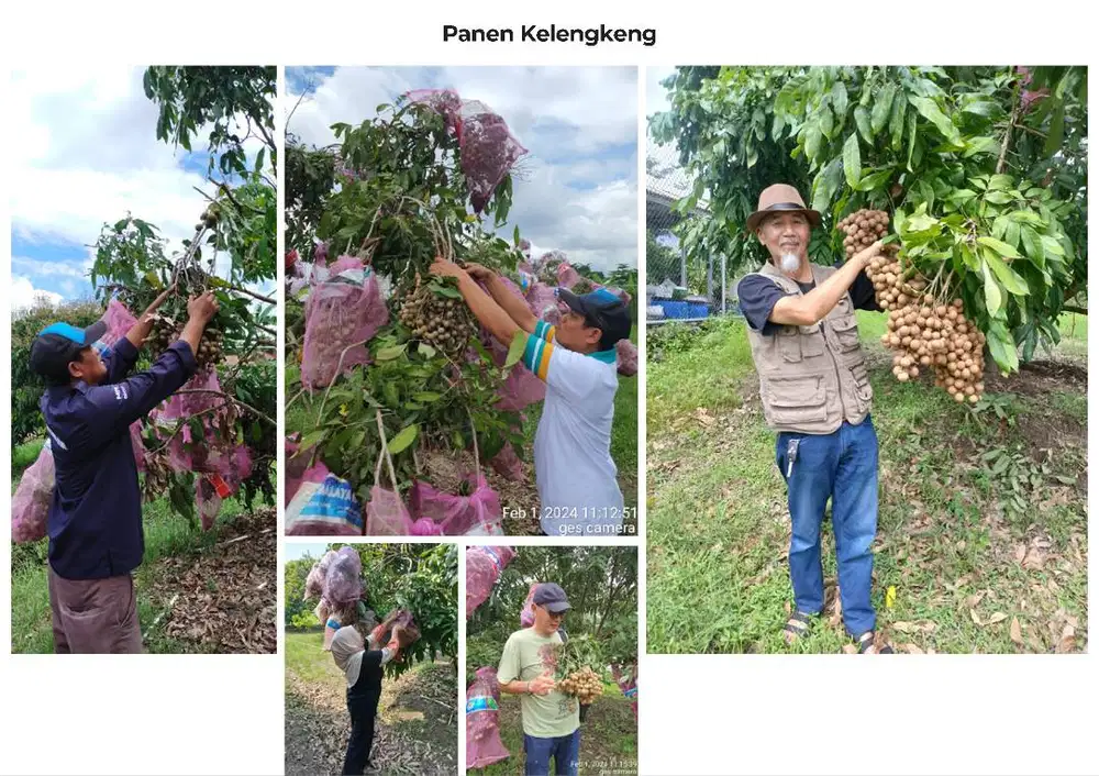 DIJUAL LAHAN PRODUKTIF STRATEGIS DI SLEMAN