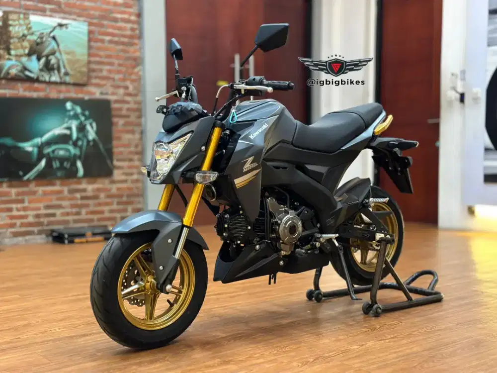 Kawasaki Z125 Grey 2024