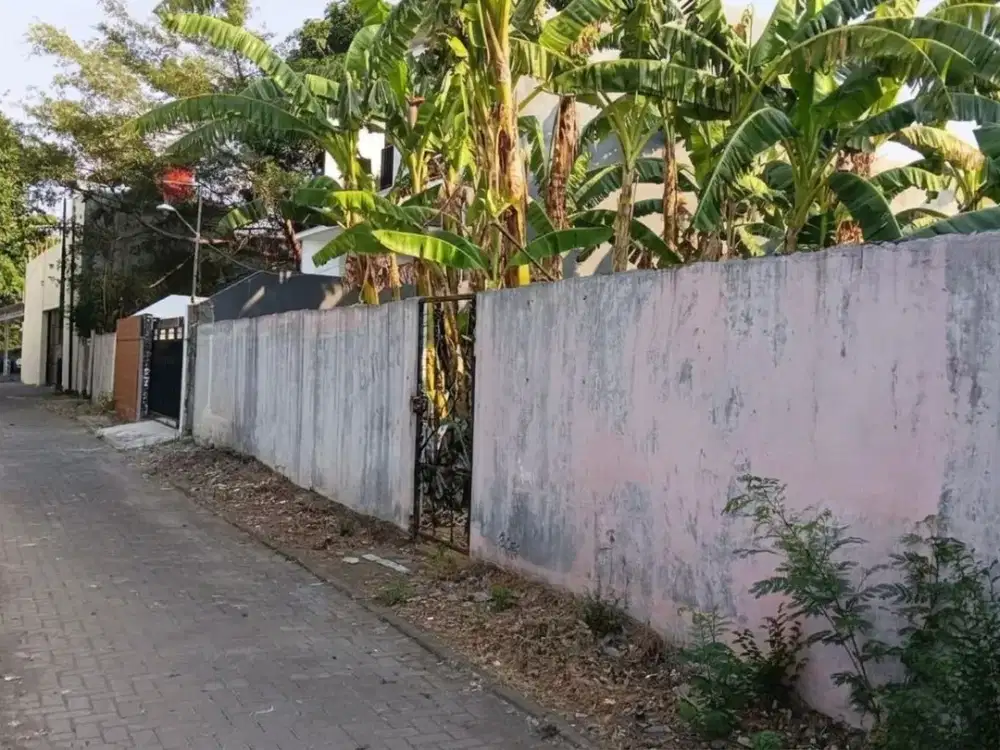 JUAL TANAH DI CEMPEDAK, DEKAT MAJAPAHIT SEMARANG
