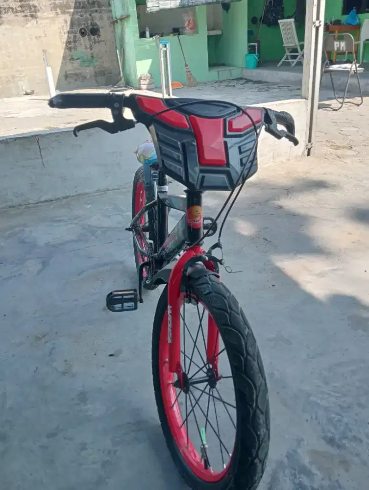 jual sepeda anak