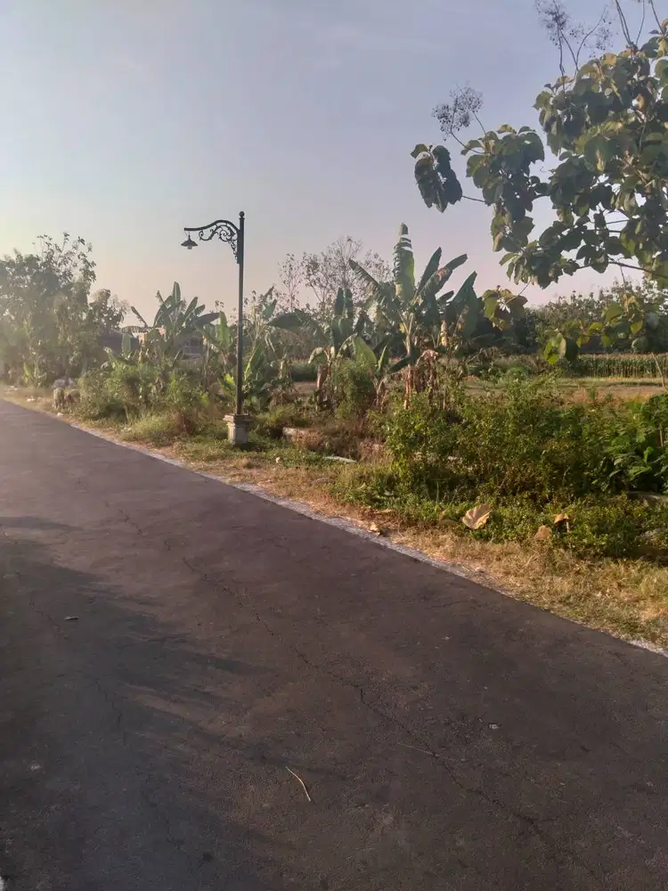 Di jual lahan pertanian aktif