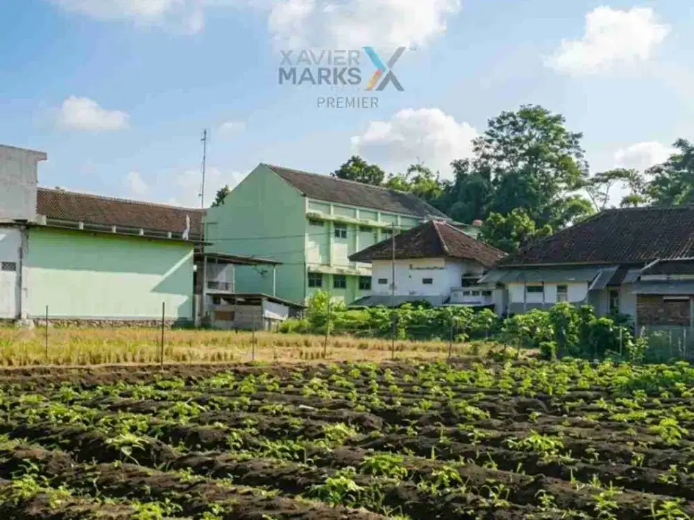 Dijual Tanah Cocok Dijadikan Pabrik dan Gudang Jalan Raya Banjarsari - Ngajum Malang
