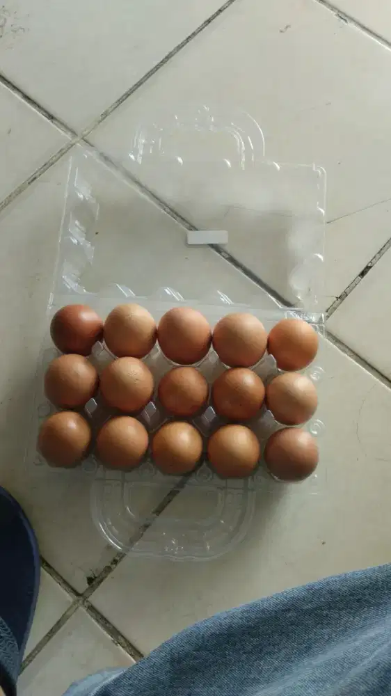 Market/sales telur