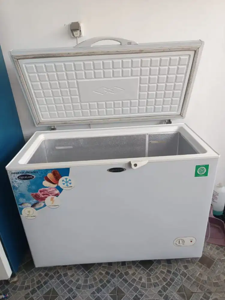 Freezer ukuran besar FRIGIGATE F300