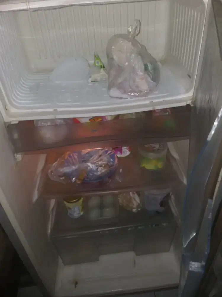 Kulkas 1 pntu sgt dngin50 wat free ongkir lalamove