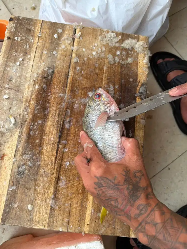 fillet ikan / potong ikan