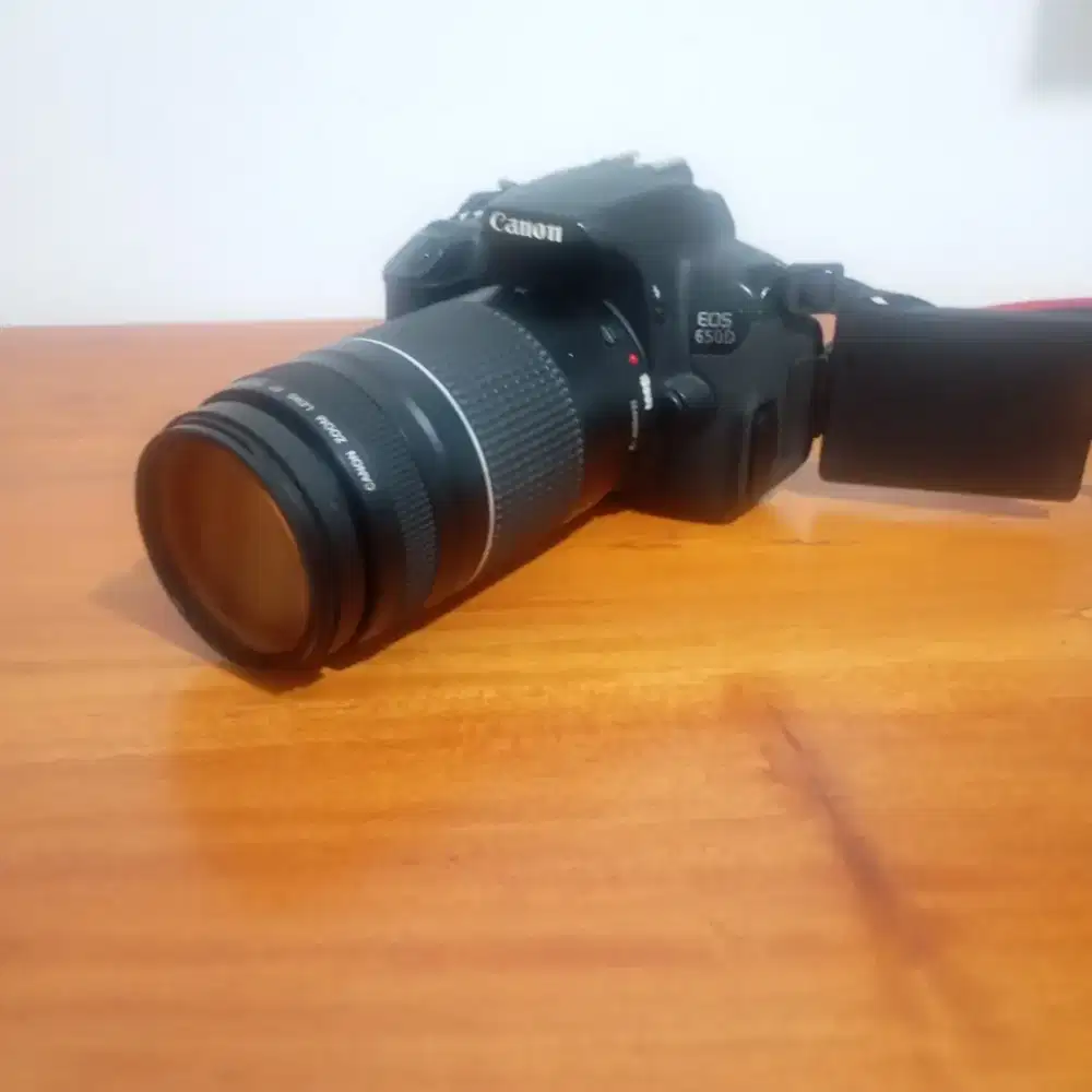 CANON 650D + LENSA TELE 70 300 MM + UV FILTER