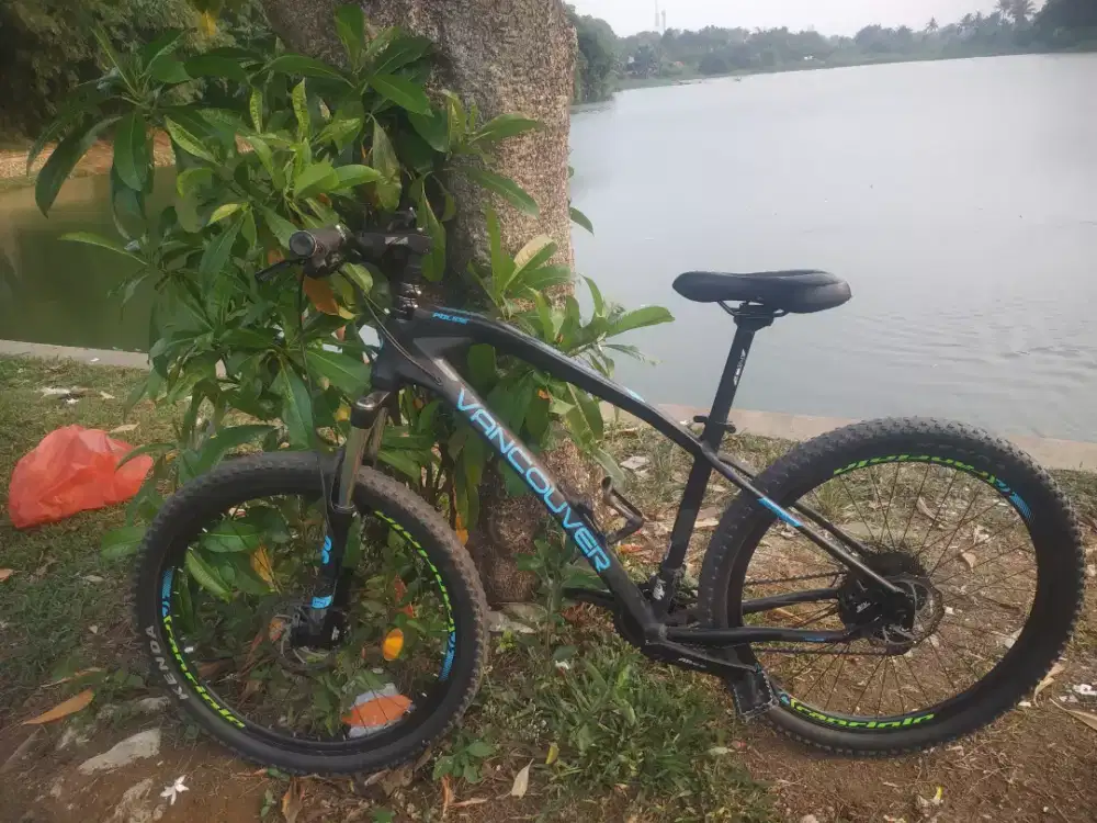 Sepeda gunung (MTB)