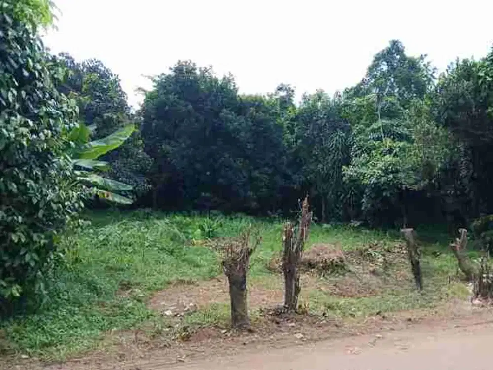 Dijual Tanah Strategis Di Setu Bekasi