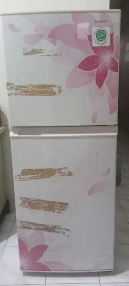 Kulkas sharp 2 pintu