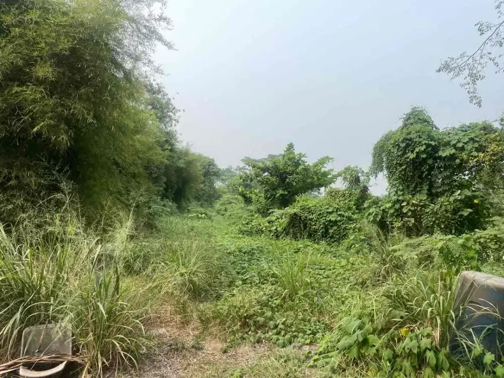 dijual Lahan dicikande luas 7,3ha sekitar 7km dari pintu tol cocok buat pabrik dan pergudangan