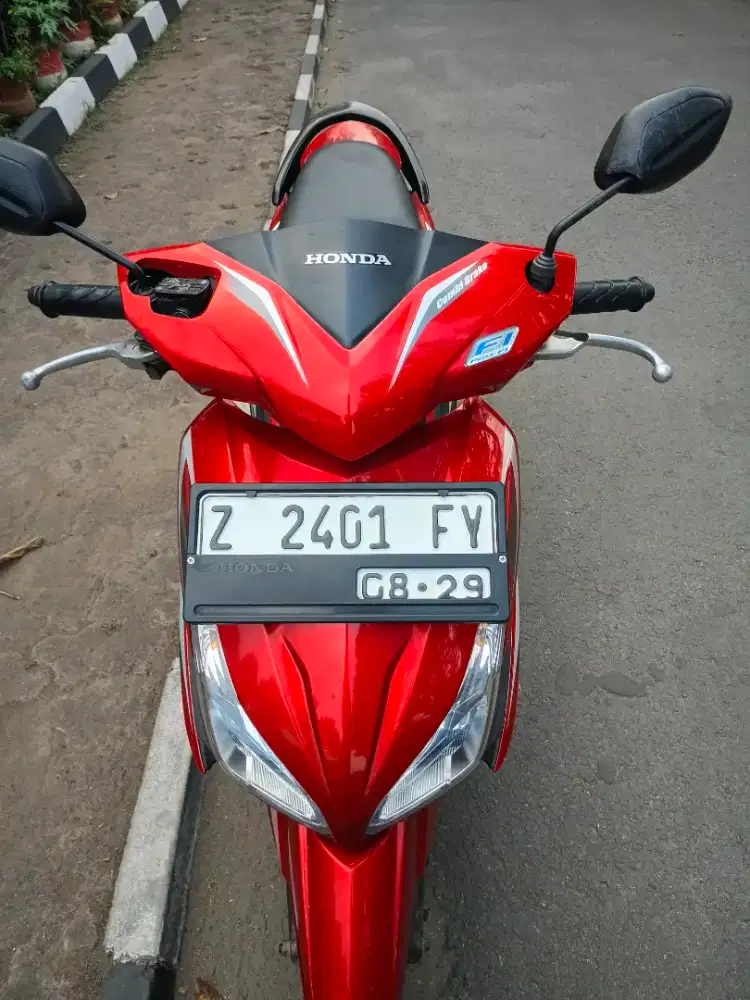 Vario agnes 2014 mulus orsinil