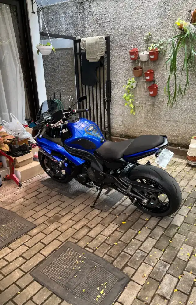Kawasaki er6f er6n