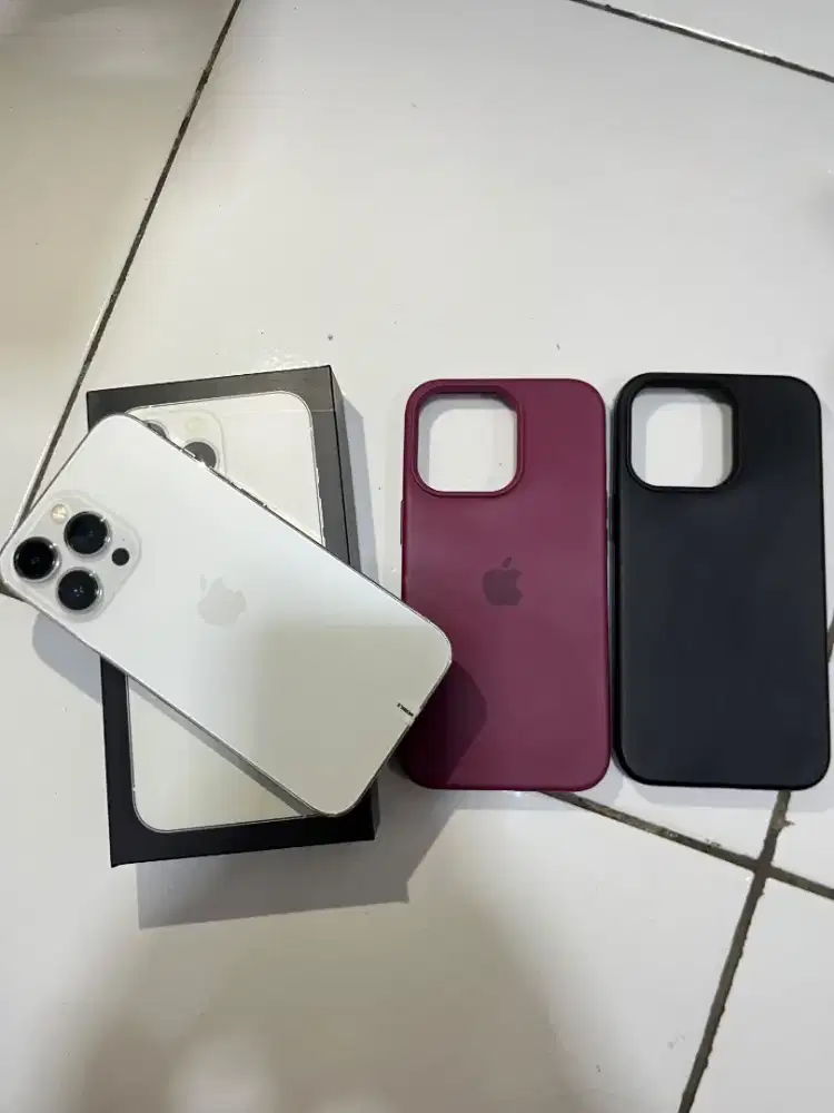 Iphone 13 pro silver