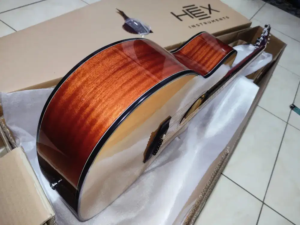 Gitar Akustik Elektrik HEX STING F300CE G