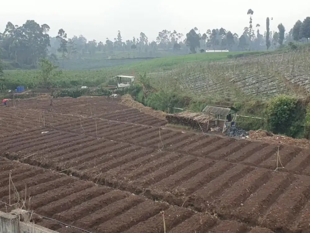 Murah Tanah Pangalengan Blok Cipariuk Desa Margamekar